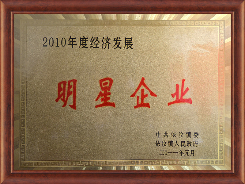 2010年度經濟發展明星企業 